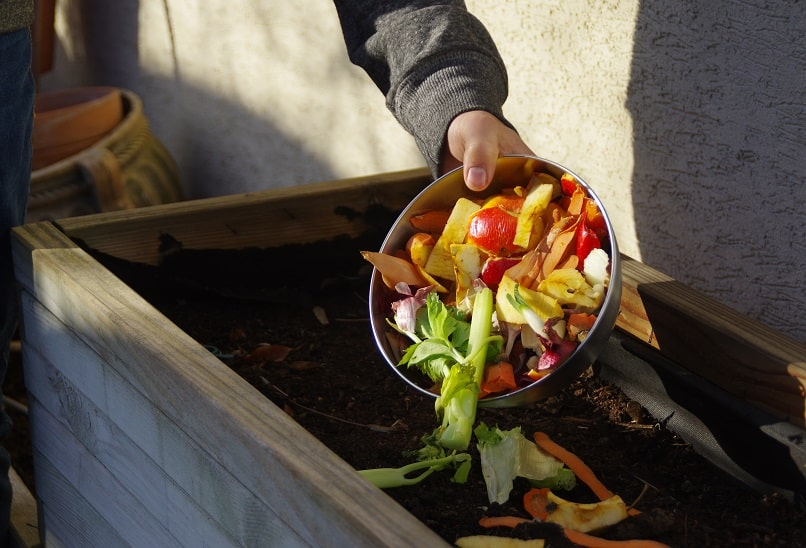 The Zero-Waste Life: Simple Steps for a Greener Planet